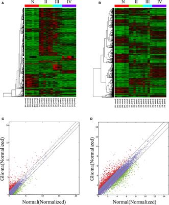 Pathological Grade-Associated Transcriptome Profiling of lncRNAs and mRNAs in Gliomas